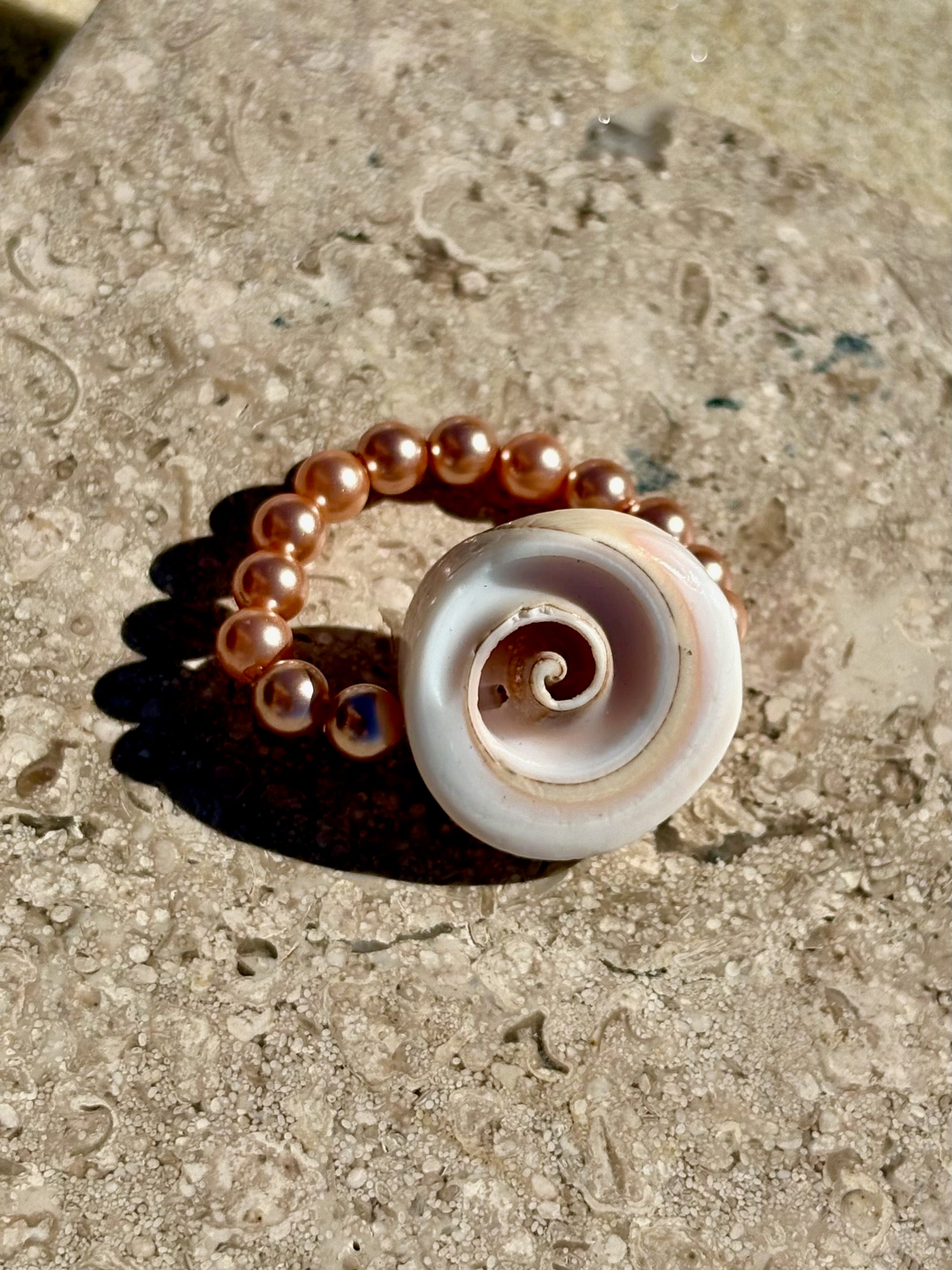 The Daisy Ring | Rose Shell