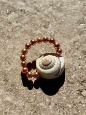 The Daisy Ring | Rose Shell