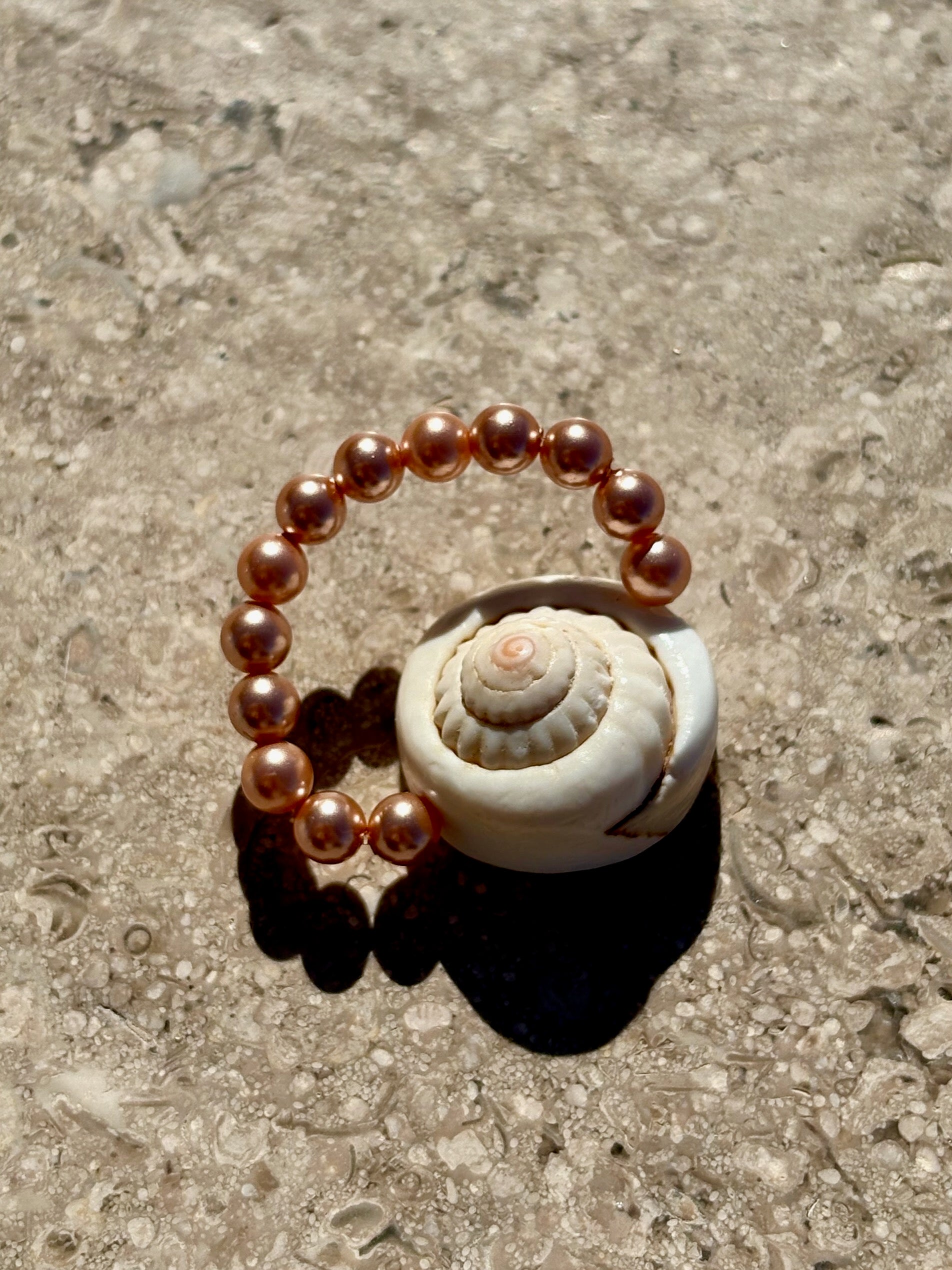 The Daisy Ring | Rose Shell