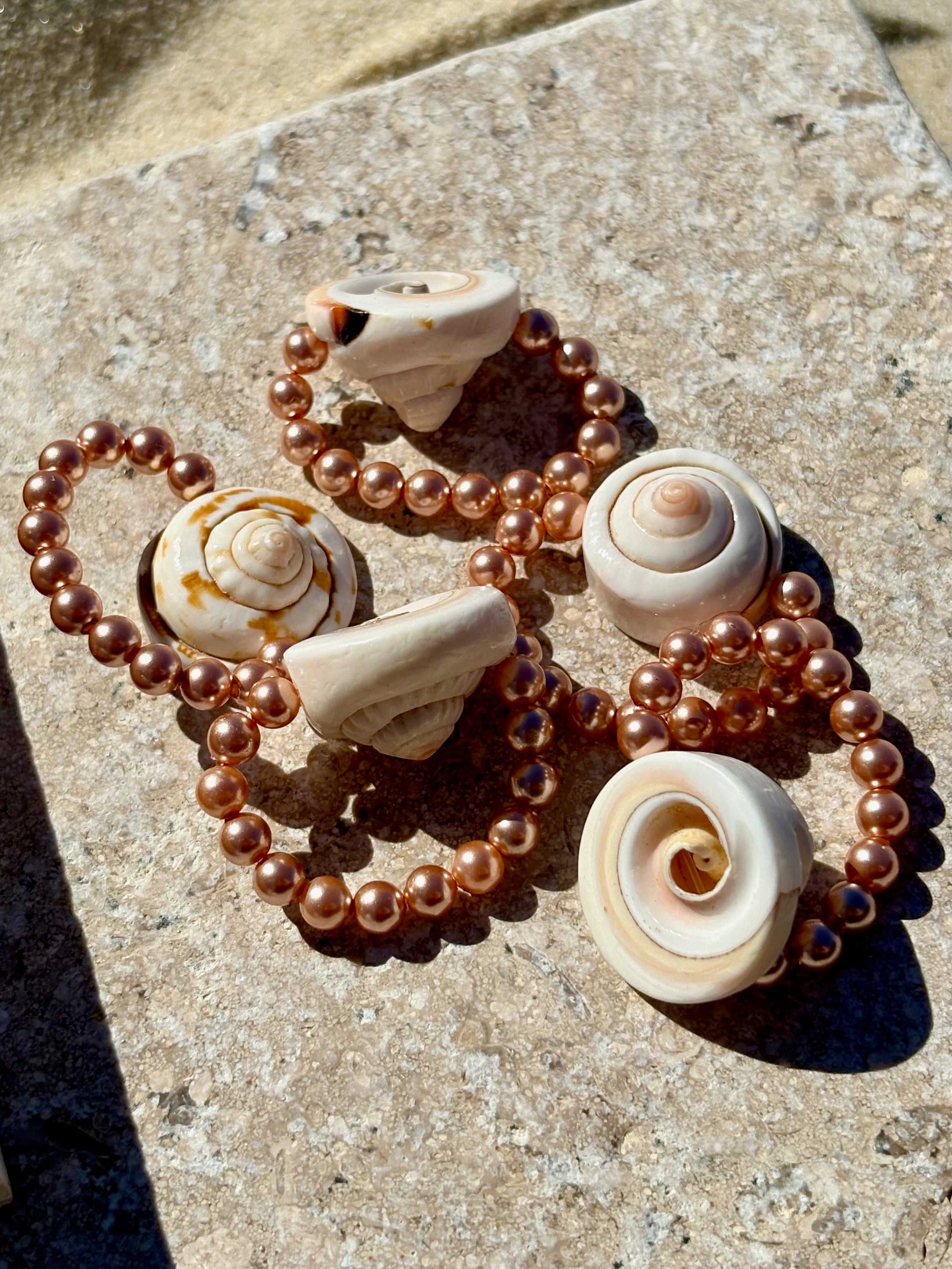 The Daisy Ring | Rose Shell